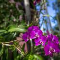 Hero Image 1 of 8