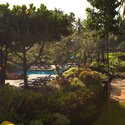 Hotel 1 of 99