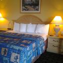 Room 1 of 59
