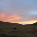 Hero Image 1 of 12