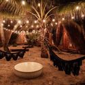 Hero Image 1 of 99
