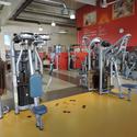 Health and Fitness 1 of 41