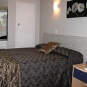 Room 1 of 43