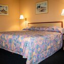 Room 1 of 24