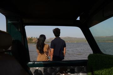 Safari