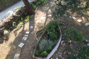 Photo 30