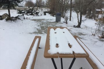 BBQ/picnic area