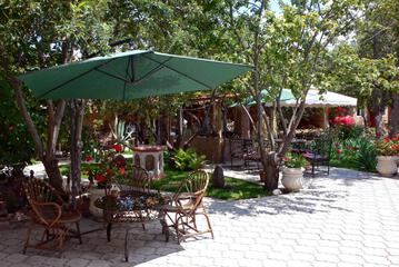 Photo 42