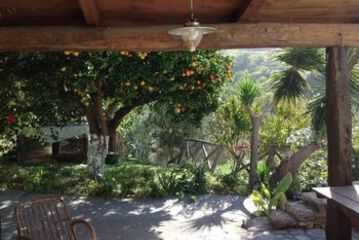 Terrace or Patio