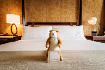 Guest room amenity