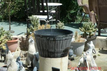 Photo 44