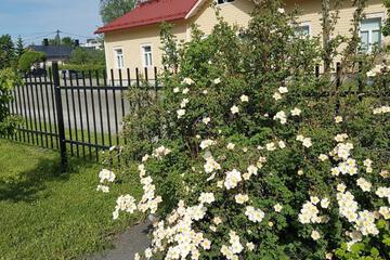 Photo 48
