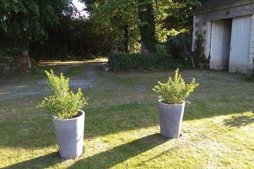 Photo 48