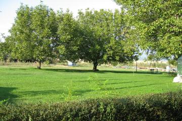 Photo 53