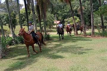 Horseback riding