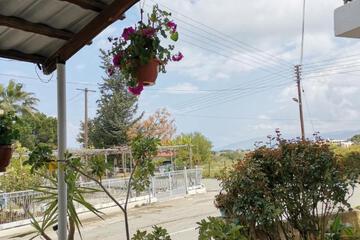 Photo 55