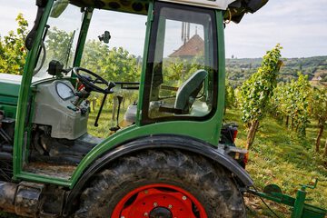 Vineyard