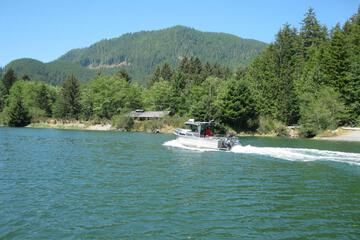 Photo 40