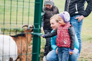 Children's activities