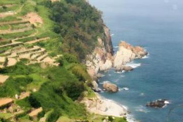 Surrounding environment