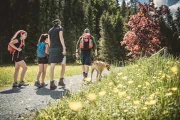 Hiking