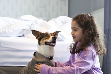 Pet-friendly amenities