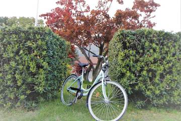 Bicycling