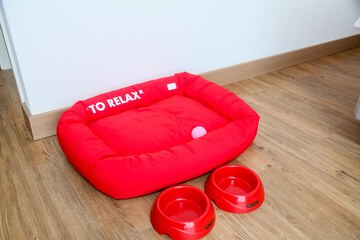 Pet-friendly amenities