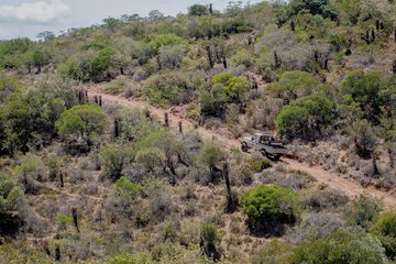 Game drive