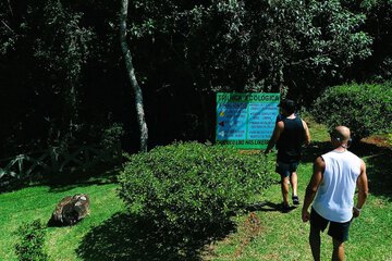 Hiking