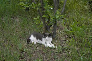 Photo 32