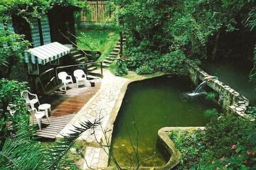 Natural pool