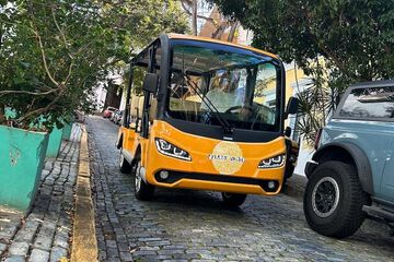 Cruise terminal shuttle