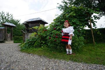 Photo 55