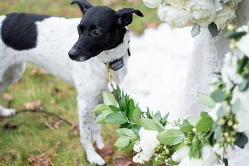 Outdoor wedding area
