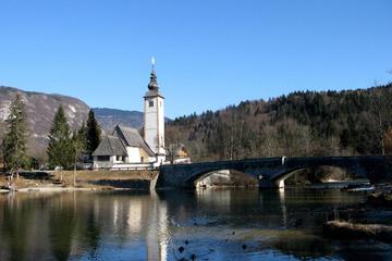 Photo 46