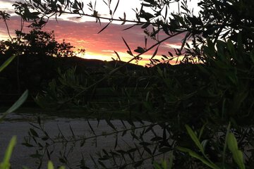 Land view from property