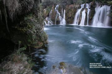 Photo 50