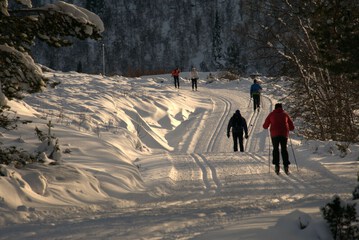 Skiing