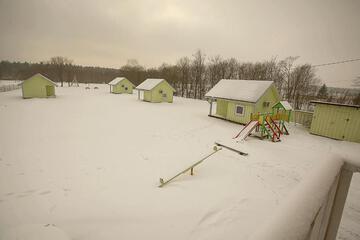 Photo 24
