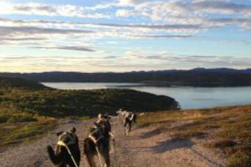 Photo 48