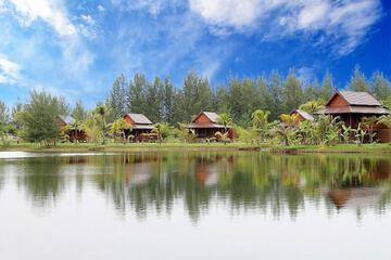 Lake view