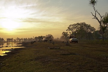 Game drive