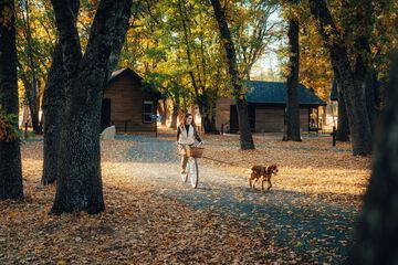 Pet-friendly