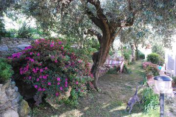 Photo 52