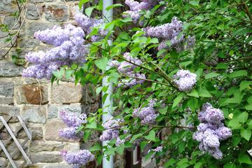 Photo 43