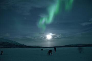 Photo 46
