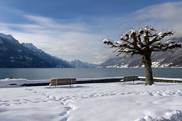Land view from property
