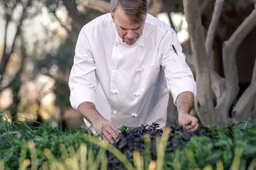 Hotel Exterior 118 of 143