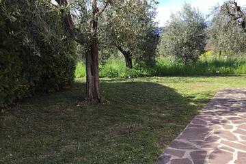 Photo 40